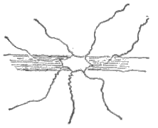 u}]71mu71v͏cnṽLvVt̐}